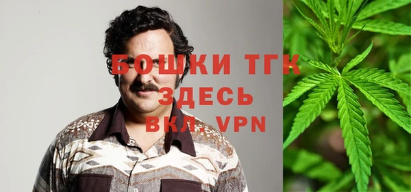 дурь Мегион