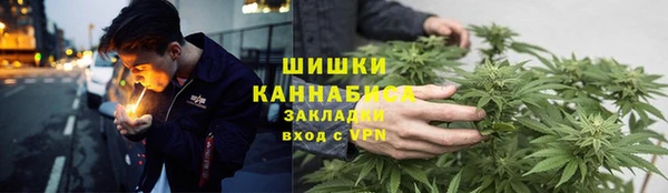 винт Каменка