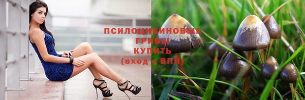 кокаин премиум Дмитриев