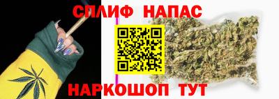 прущие грибы Абинск