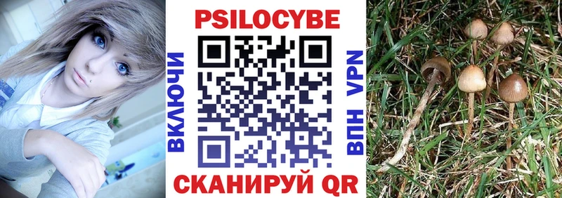 Псилоцибиновые грибы мицелий  Набережные Челны 
