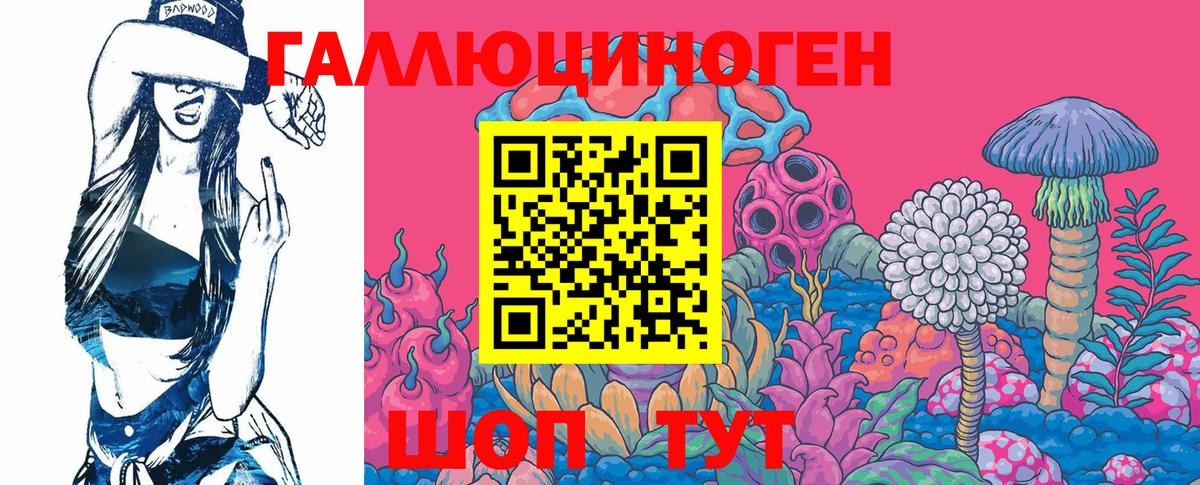 Галлюциногенные грибы Psilocybe Россия