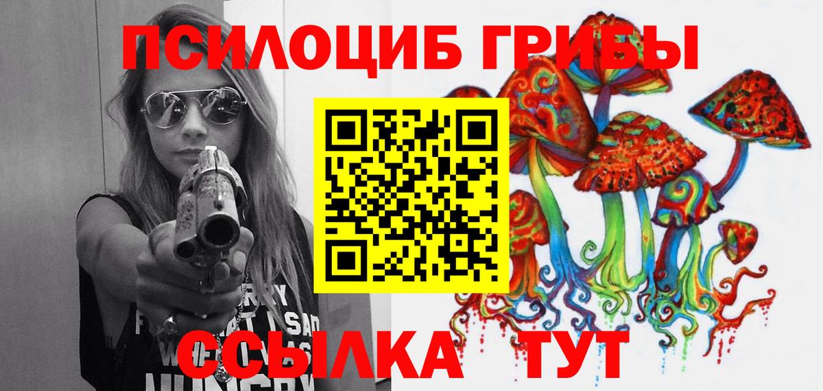 купить наркотики сайты  Россия  Галлюциногенные грибы Psilocybine cubensis 