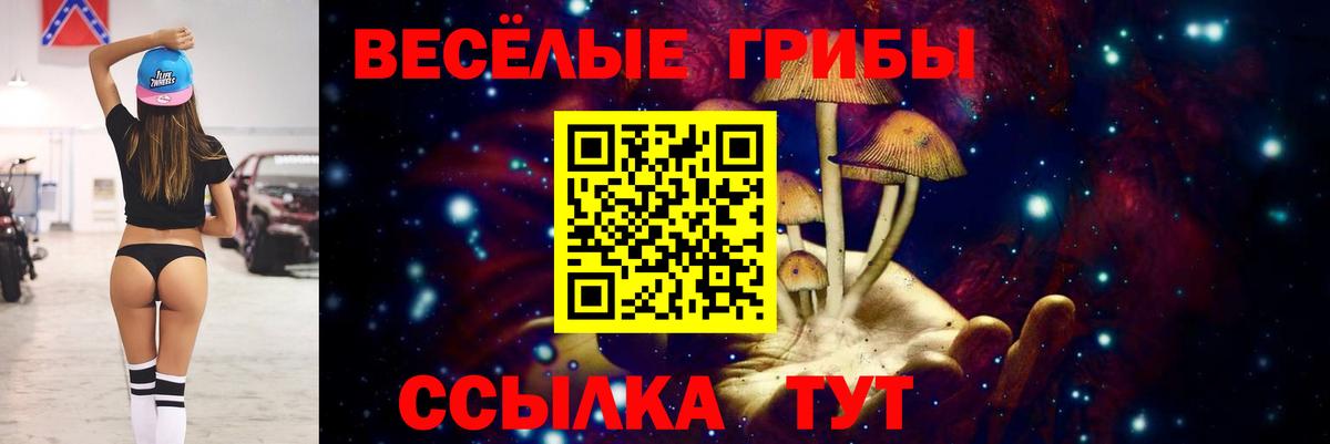 Россия  Псилоцибиновые грибы мицелий  Вход с VPN 